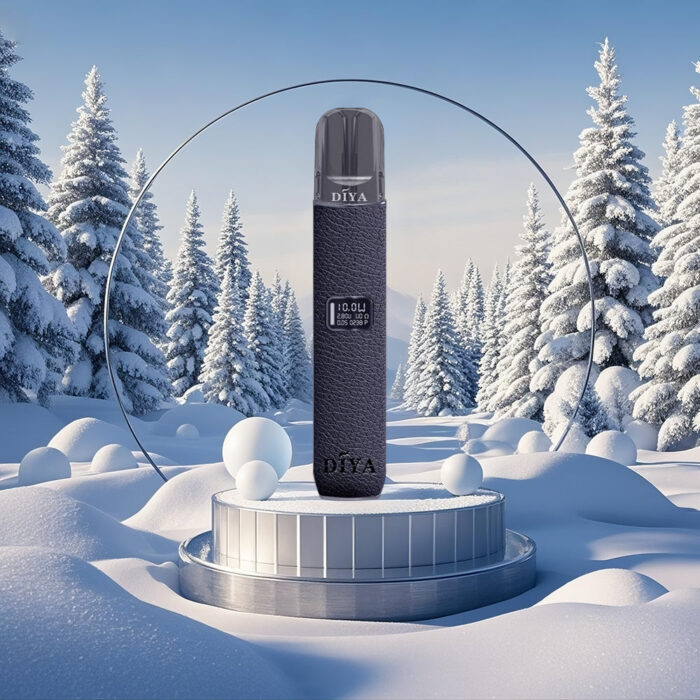 DIYA 叮啞 一代主機皮革：圖片 4