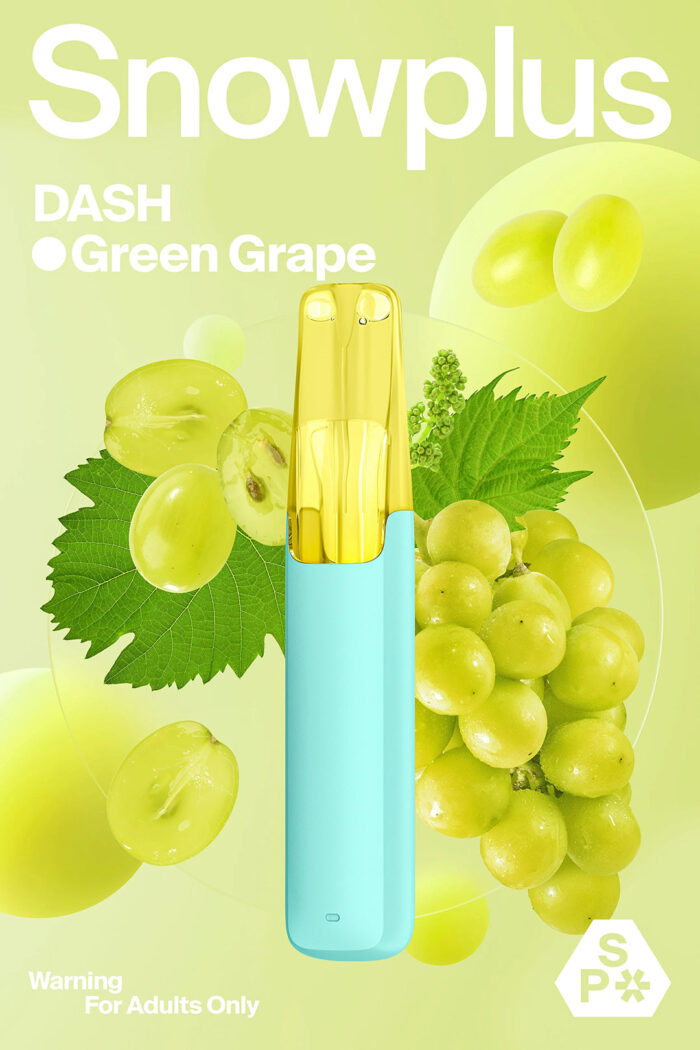 Snowplus DASH 鴨嘴獸 4000口 一次性：圖片 5