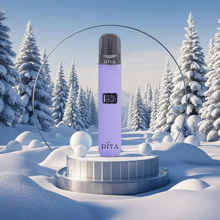 DIYA 叮啞 一代主機皮革：圖片 3