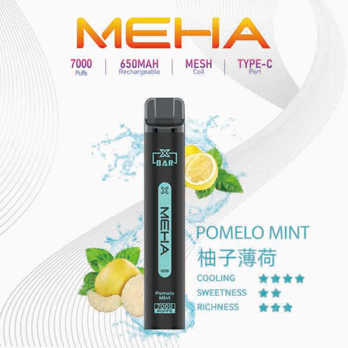 MEHA XBAR 拋棄式 7000口小黑條：圖片 10