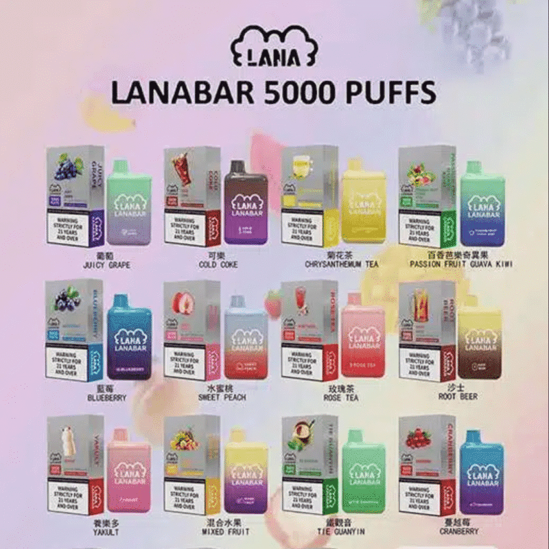 LANA拋棄式5000口電子煙 一次性電子煙 台灣現貨 24h出貨 可充電